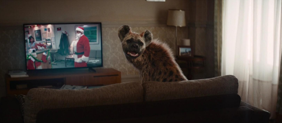 Amazon Prime: An unlikely friendship