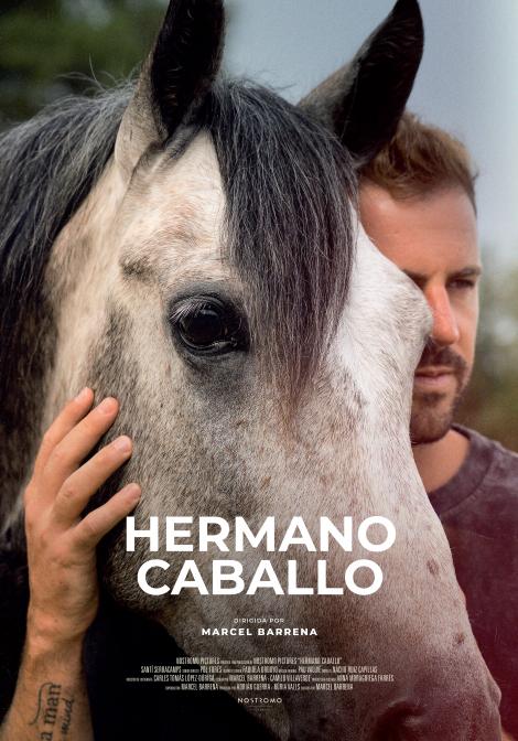 Hermano Caballo