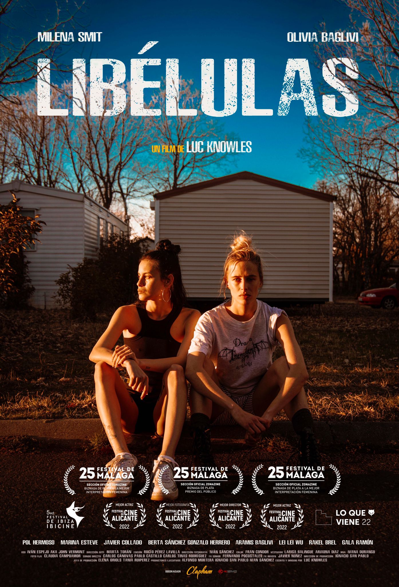 Libélulas