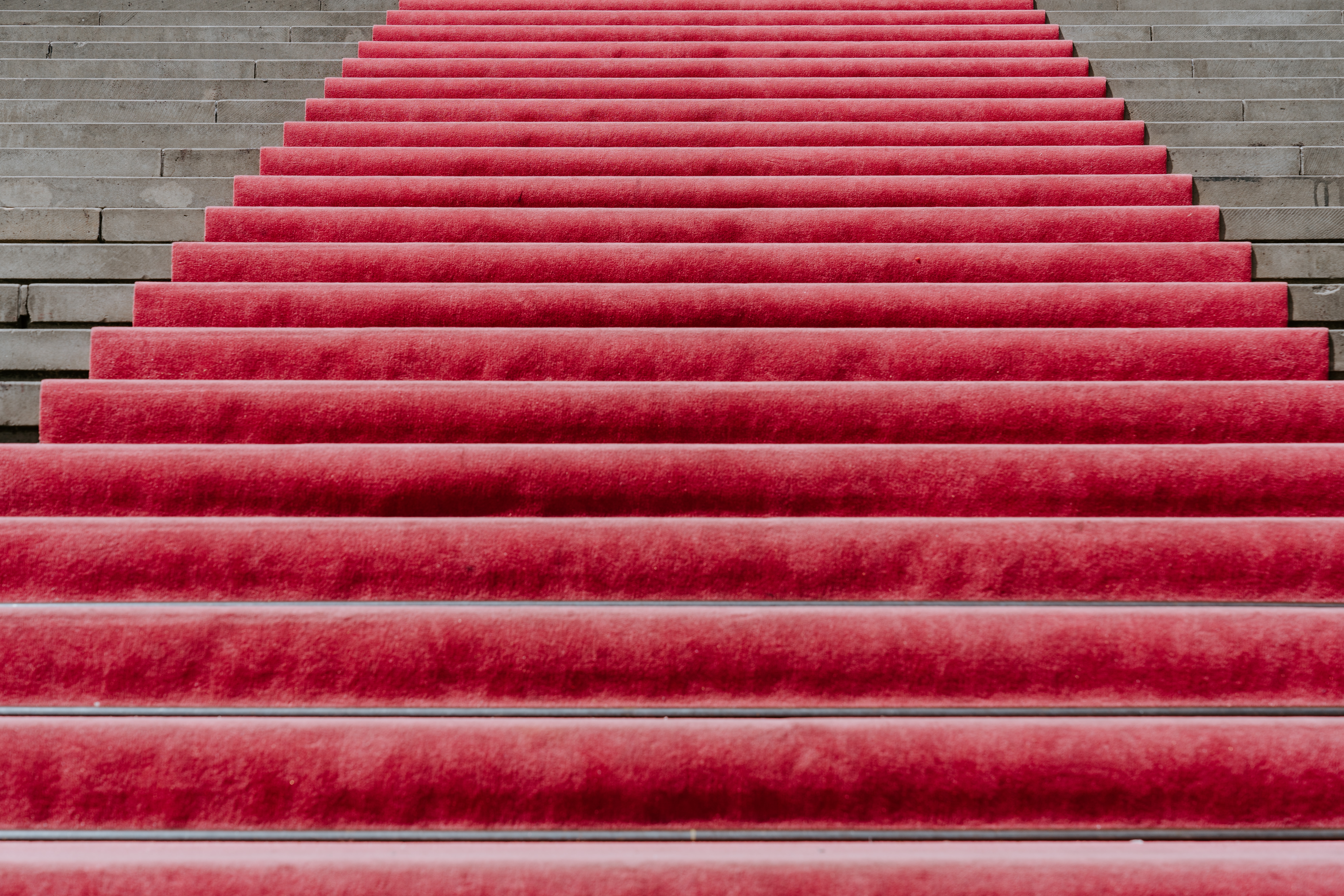 alfombra roja sobre escalones